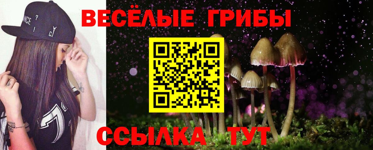 купить закладку  Галлюциногенные грибы MAGIC MUSHROOMS  Вход с VPN  Ялуторовск 