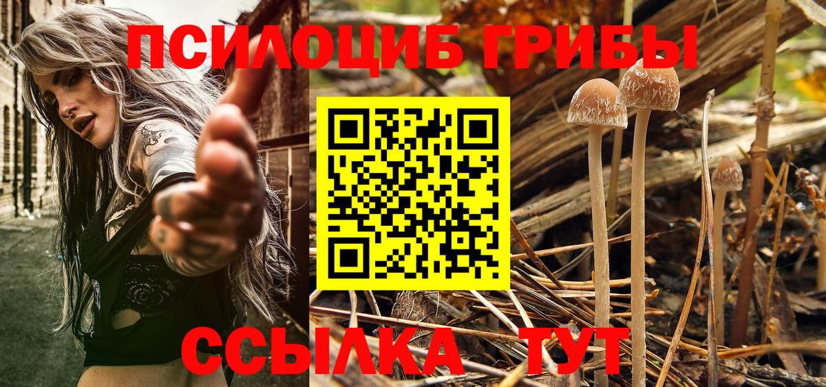 Псилоцибиновые грибы мицелий Ялуторовск
